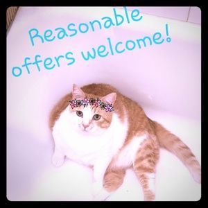 Make me an offer! Feed a Kiwi!